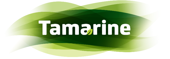 Tamarine